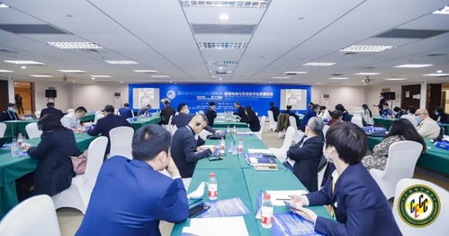 進博會觀察｜行云集團Billy受邀出席2020跨境電商與貿易數字化論壇，共探國際貿易新未來